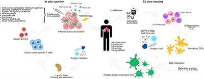 Dendritic cell-based immunotherapy in non-small cell lung cancer: a comprehensive critical review